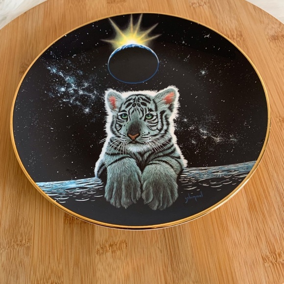 Franklin Mint “Promise Of A New World” - Picture 2 of 6